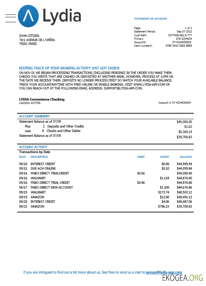 Relevé de carte bancaire France Lydia Noir modèle Word et PDF scr